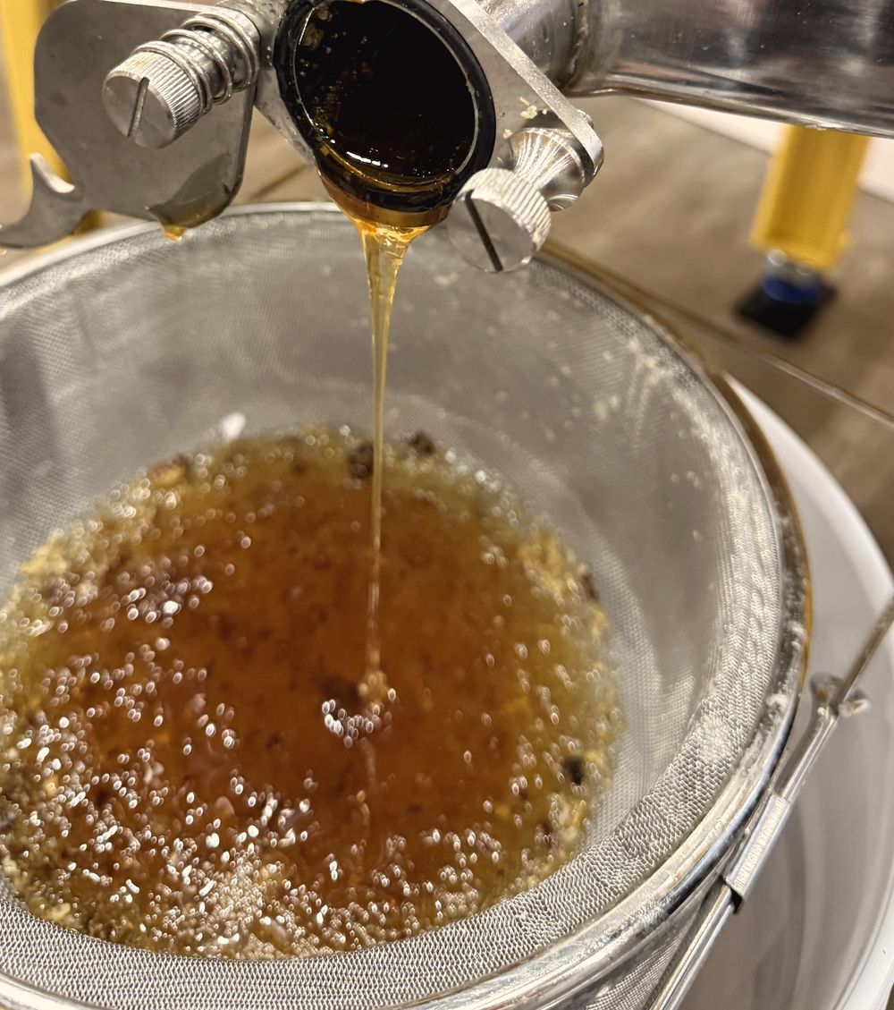 Honey flowing from the extractor gate through a strainer in the honey house at Honey Tree Orchard & Apiary
